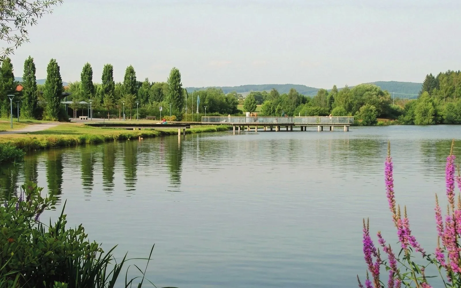 Der Erlauzwieseler See mit Steg, Bäumen und Hügeln im Hintergrund